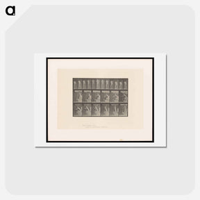 アートポストカード-Man at Crank
 - エドワード マイブリッジ Postcard.