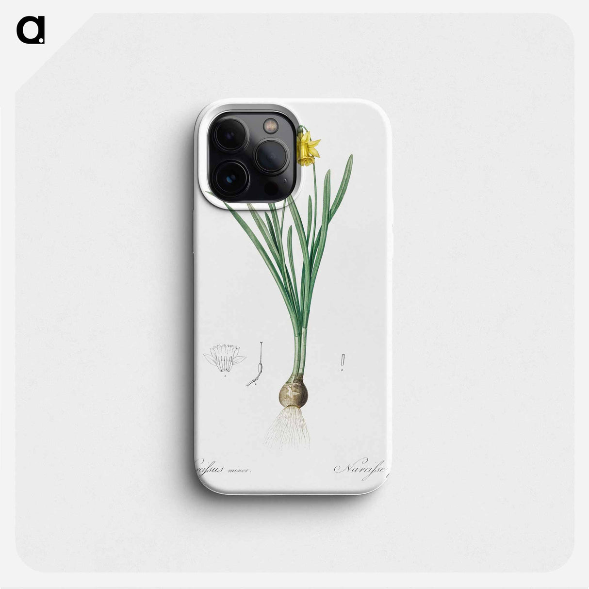Lesser wild daffodil illustration - Pierre Joseph Redouté Phone Case.