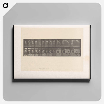 The Water Bearer
 - エドワード マイブリッジ Canvas.