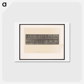 アートポストカード-The Water Bearer
 - エドワード マイブリッジ Postcard.