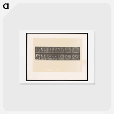 アートポストカード-The Water Bearer
 - エドワード マイブリッジ Postcard.