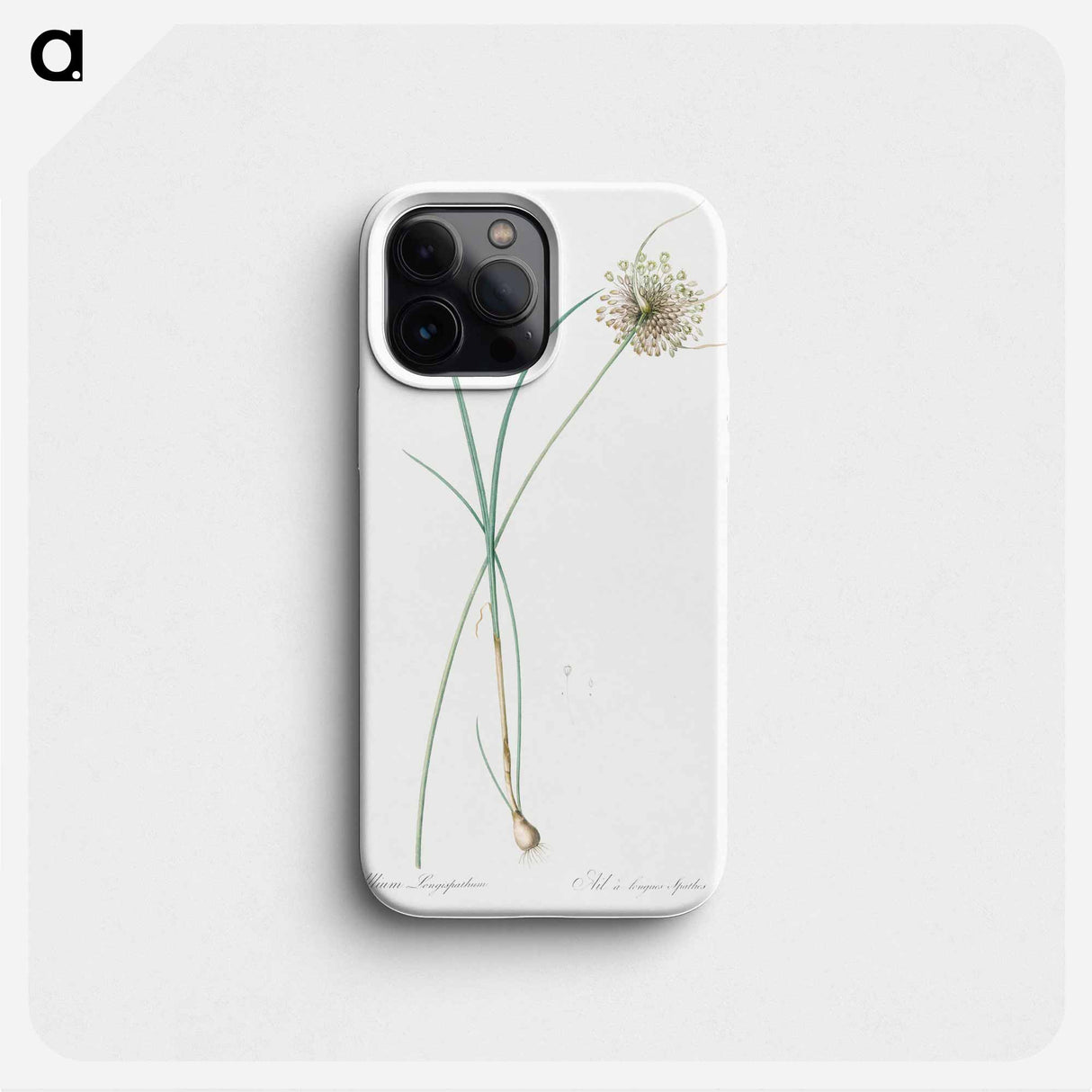 Pale garlic illustration - ピエール ジョゼフ ルドゥーテ Phone Case.