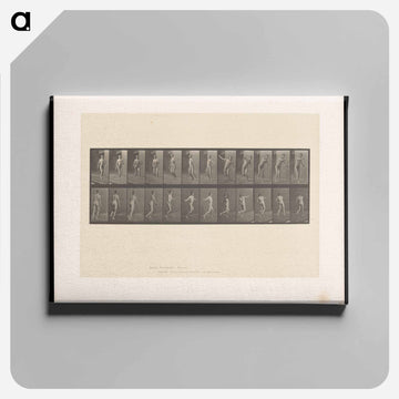 Bowling
 - エドワード マイブリッジ Canvas.