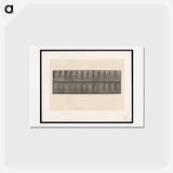 アートポストカード-Bowling
 - エドワード マイブリッジ Postcard.