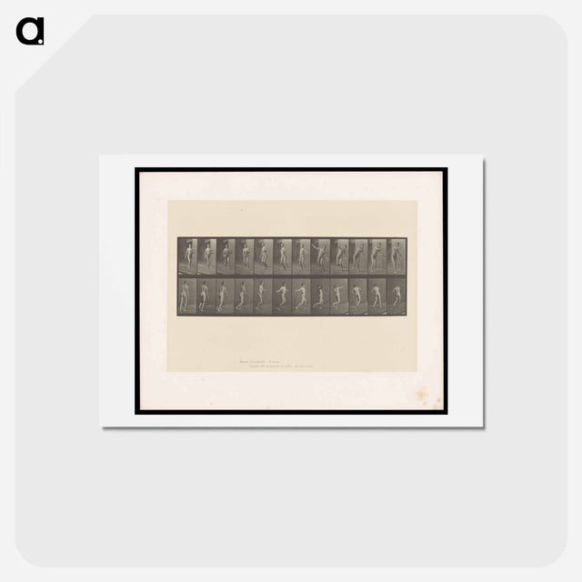 アートポストカード-Bowling
 - エドワード マイブリッジ Postcard.