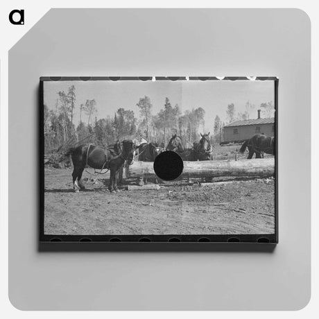アートパネル-House Erection
 - ラッセル リー Canvas.