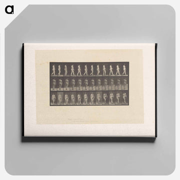 Naked Woman Walking
 - エドワード マイブリッジ Canvas.