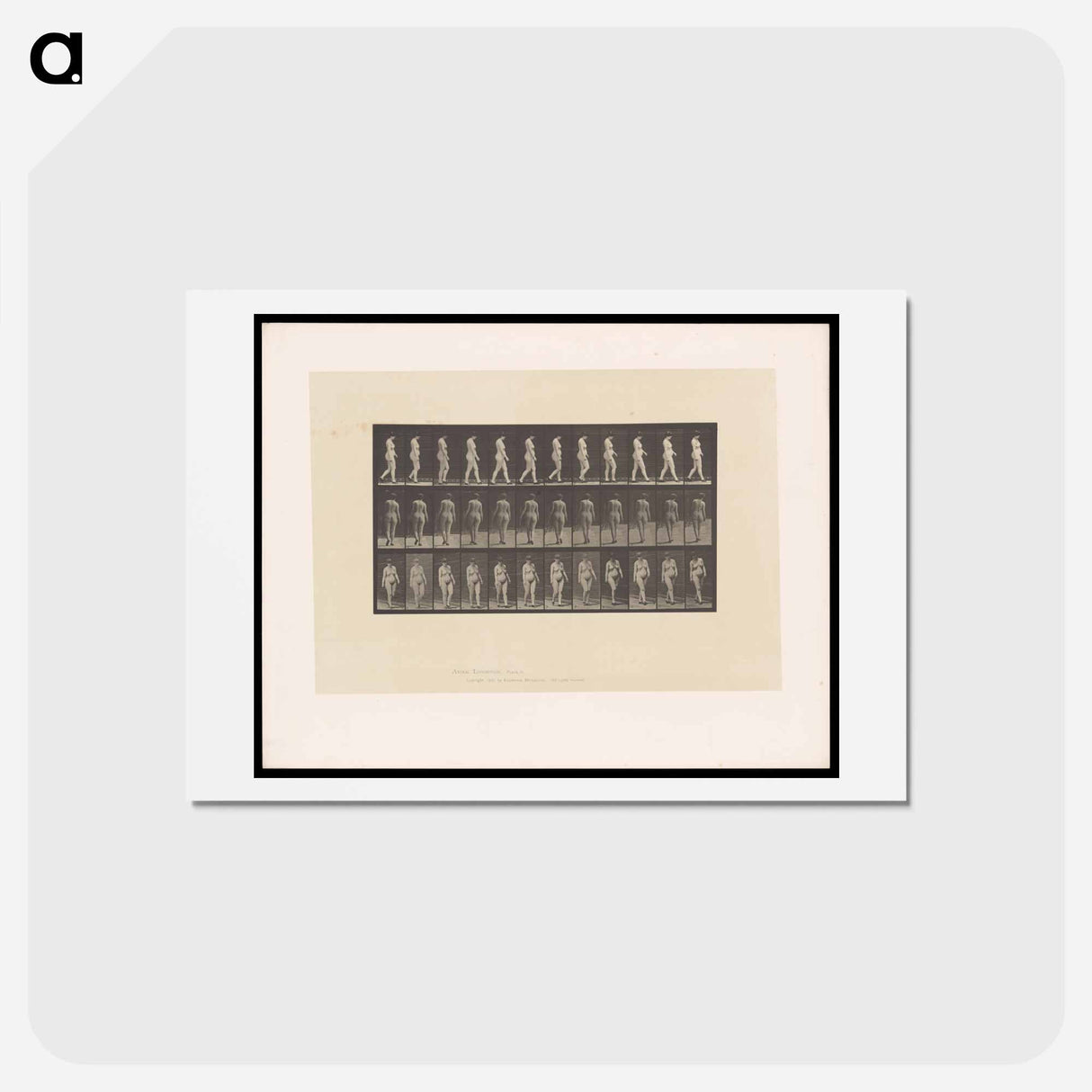 アートポストカード-Naked Woman Walking
 - エドワード マイブリッジ Postcard.