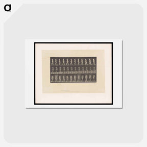 アートポストカード-Naked Woman Walking
 - エドワード マイブリッジ Postcard.