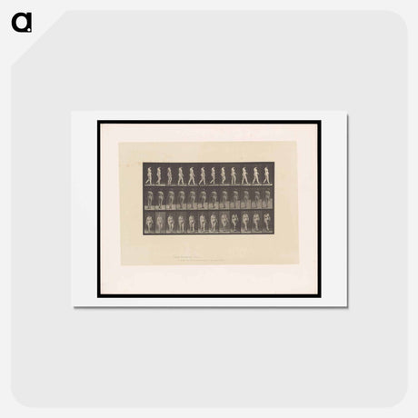 アートポストカード-Naked Woman Walking
 - エドワード マイブリッジ Postcard.