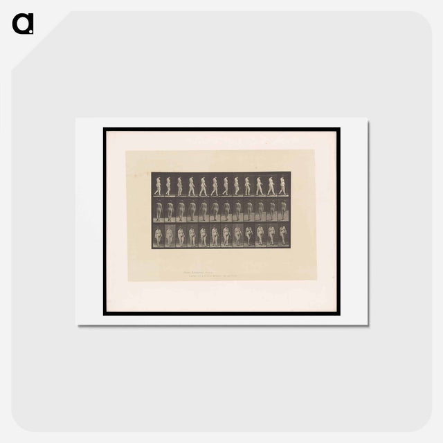 アートポストカード-Naked Woman Walking
 - エドワード マイブリッジ Postcard.