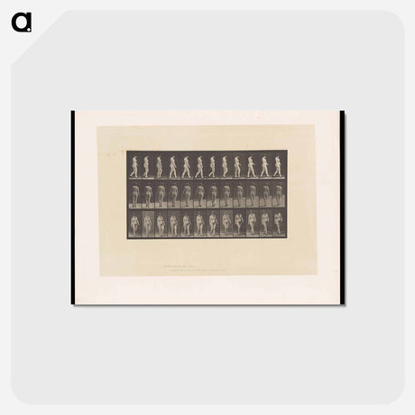 アートポストカード-Naked Woman Walking
 - エドワード マイブリッジ Postcard.