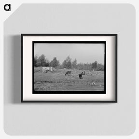 アートポスター-Cows Grazing near Mizpah
 - ラッセル リー Poster.