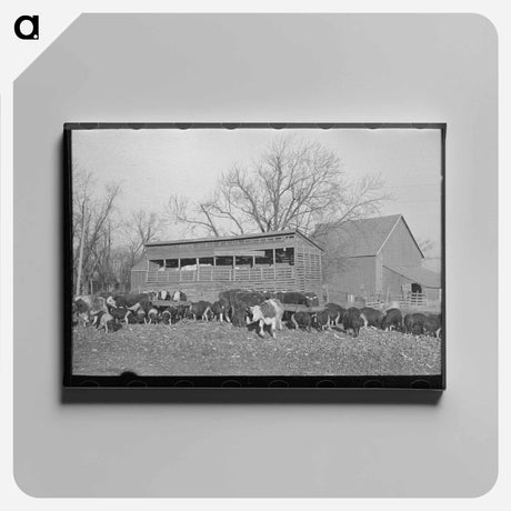 アートパネル-Cows Grazing near Mizpah
 - ラッセル リー Canvas.