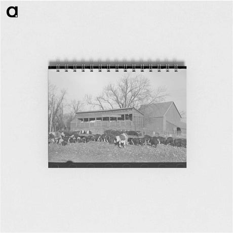 アートメモ帳-Cows Grazing near Mizpah
 - ラッセル リー Memo.