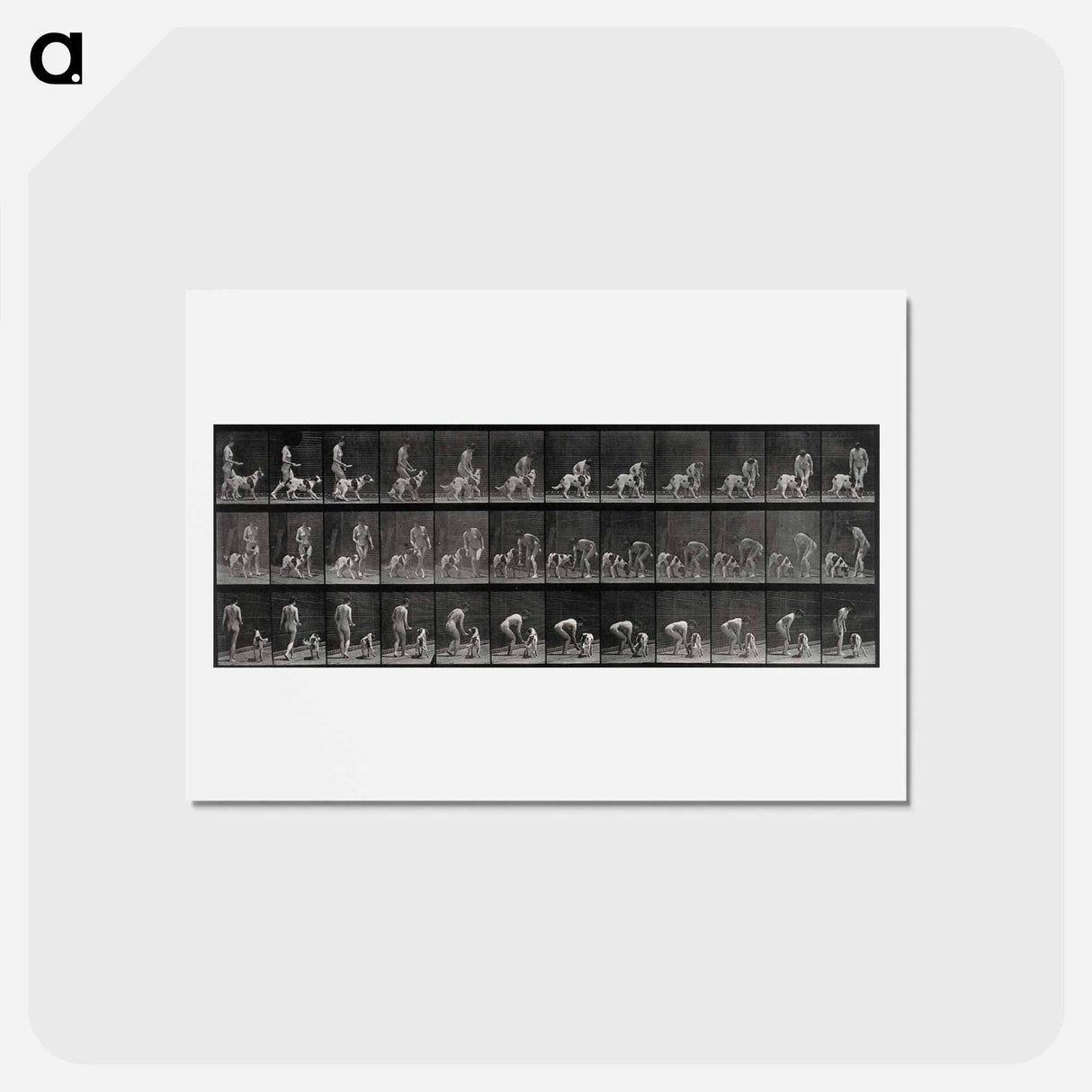 アートポストカード-Woman Feeding a Dog
 - エドワード マイブリッジ Postcard.