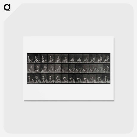 アートポストカード-Woman Feeding a Dog
 - エドワード マイブリッジ Postcard.