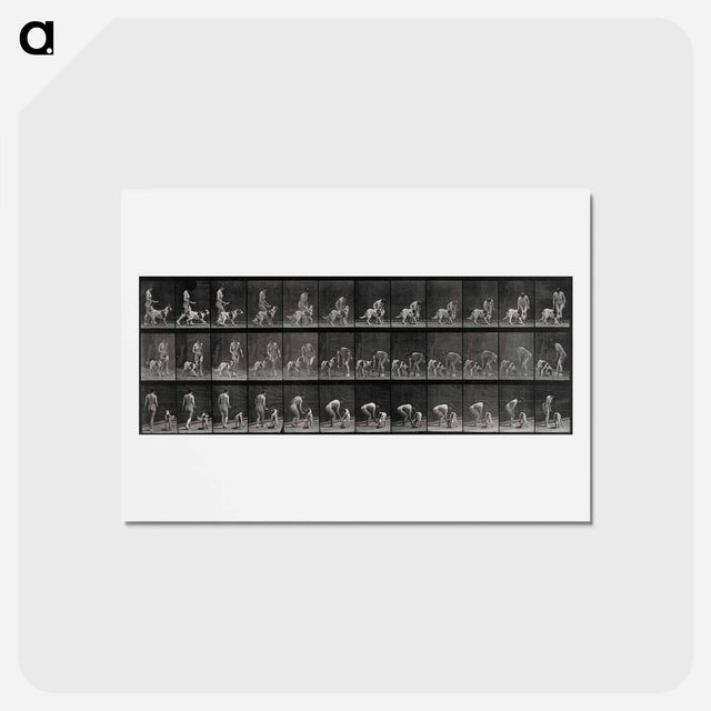 アートポストカード-Woman Feeding a Dog
 - エドワード マイブリッジ Postcard.
