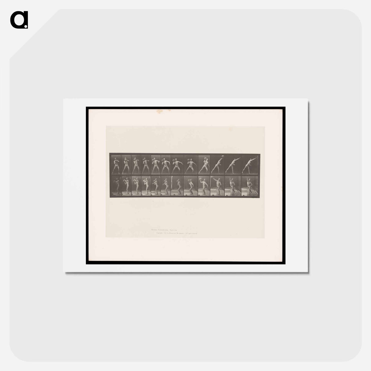 アートポストカード-The Stone Thrower
 - エドワード マイブリッジ Postcard.