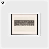 アートポストカード-The Stone Thrower
 - エドワード マイブリッジ Postcard.