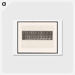 アートポストカード-The Stone Thrower
 - エドワード マイブリッジ Postcard.