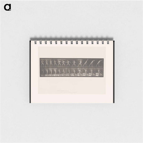 アートメモ帳-The Stone Thrower
 - エドワード マイブリッジ Memo.