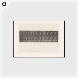 アートポストカード-The Stone Thrower
 - エドワード マイブリッジ Postcard.