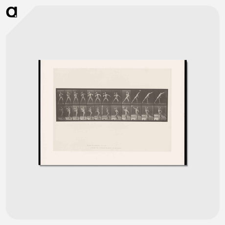 アートポストカード-The Stone Thrower
 - エドワード マイブリッジ Postcard.