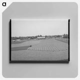 アートパネル-Shasta Dam Drainage Tile
 - ラッセル リー Canvas.