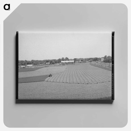 アートパネル-Shasta Dam Drainage Tile
 - ラッセル リー Canvas.