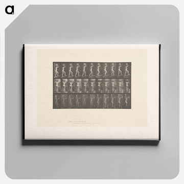 Woman with Basket
 - エドワード マイブリッジ Canvas.