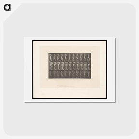 アートポストカード-Woman with Basket
 - エドワード マイブリッジ Postcard.
