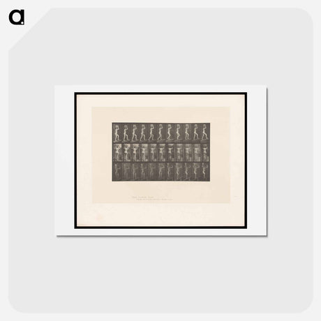 アートポストカード-Woman with Basket
 - エドワード マイブリッジ Postcard.