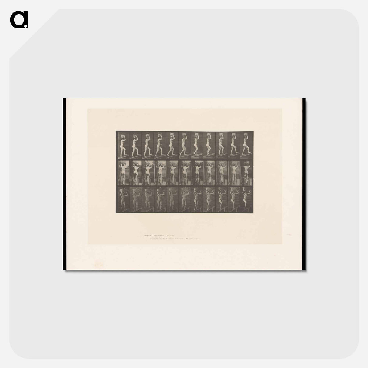 アートポストカード-Woman with Basket
 - エドワード マイブリッジ Postcard.