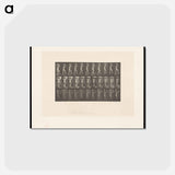 アートポストカード-Woman with Basket
 - エドワード マイブリッジ Postcard.