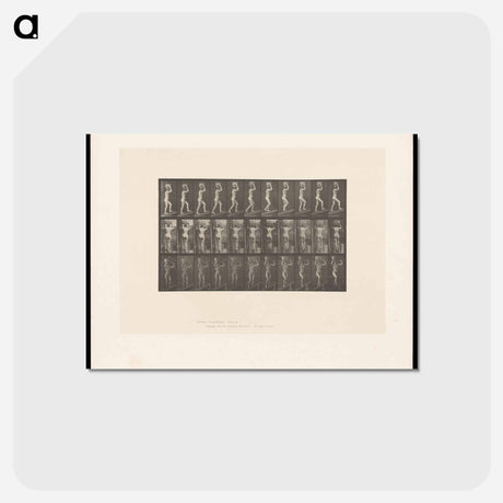 アートポストカード-Woman with Basket
 - エドワード マイブリッジ Postcard.