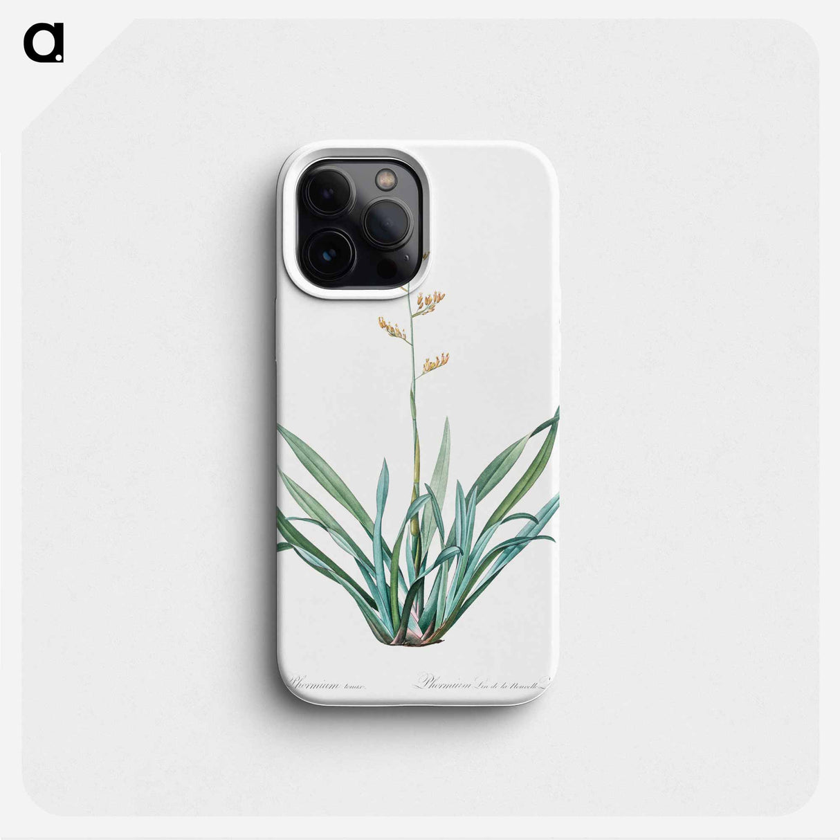 New Zealand flax illustration - ピエール ジョゼフ ルドゥーテ Phone Case.