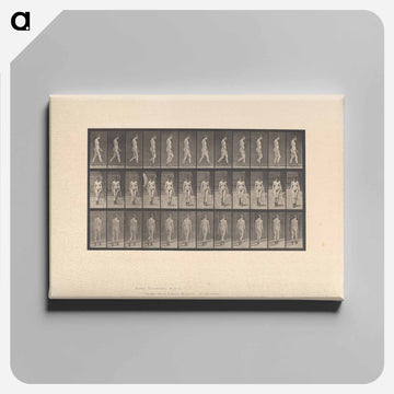 Naked Woman Walking
 - エドワード マイブリッジ Canvas.