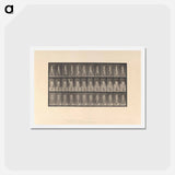 アートポストカード-Naked Woman Walking
 - エドワード マイブリッジ Postcard.