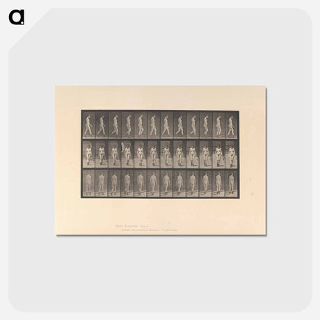 アートポストカード-Naked Woman Walking
 - エドワード マイブリッジ Postcard.