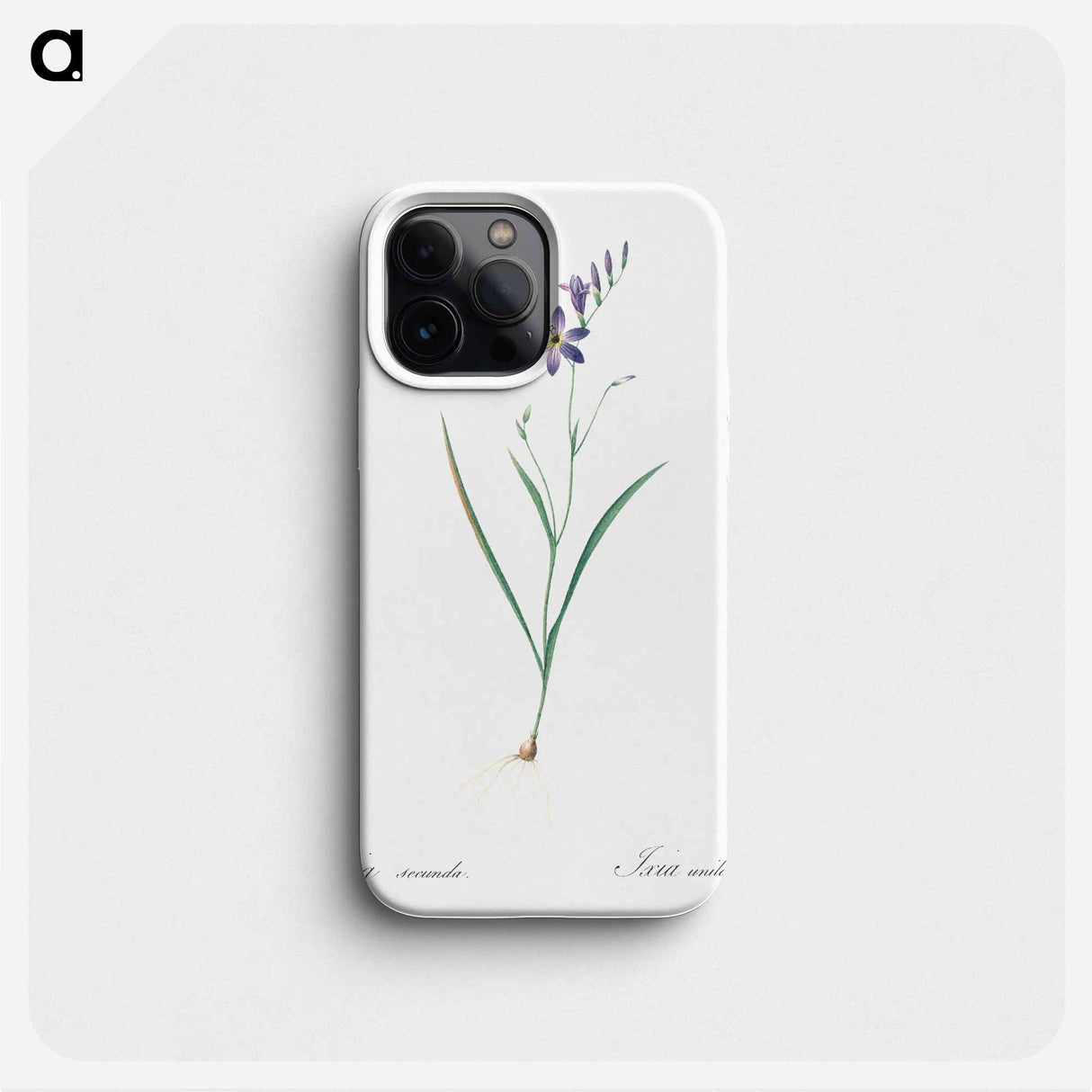 Ixia secunda - ピエール ジョゼフ ルドゥーテ Phone Case.