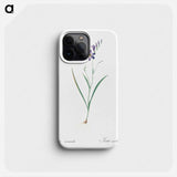 Ixia secunda - ピエール ジョゼフ ルドゥーテ Phone Case.