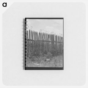 アートメモ帳-Untitled photo - ドロテア ラング Memo.