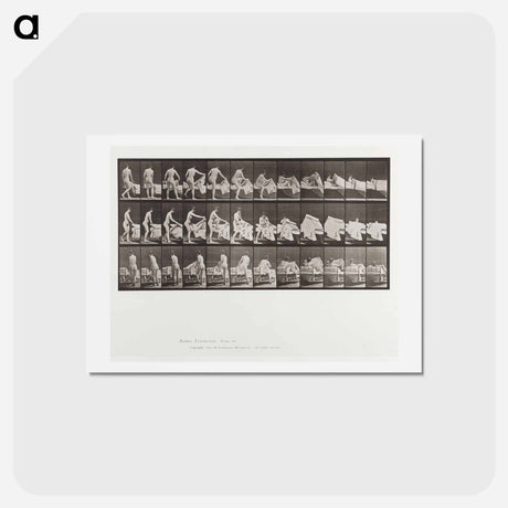 アートポストカード-Getting into Bed
 - エドワード マイブリッジ Postcard.