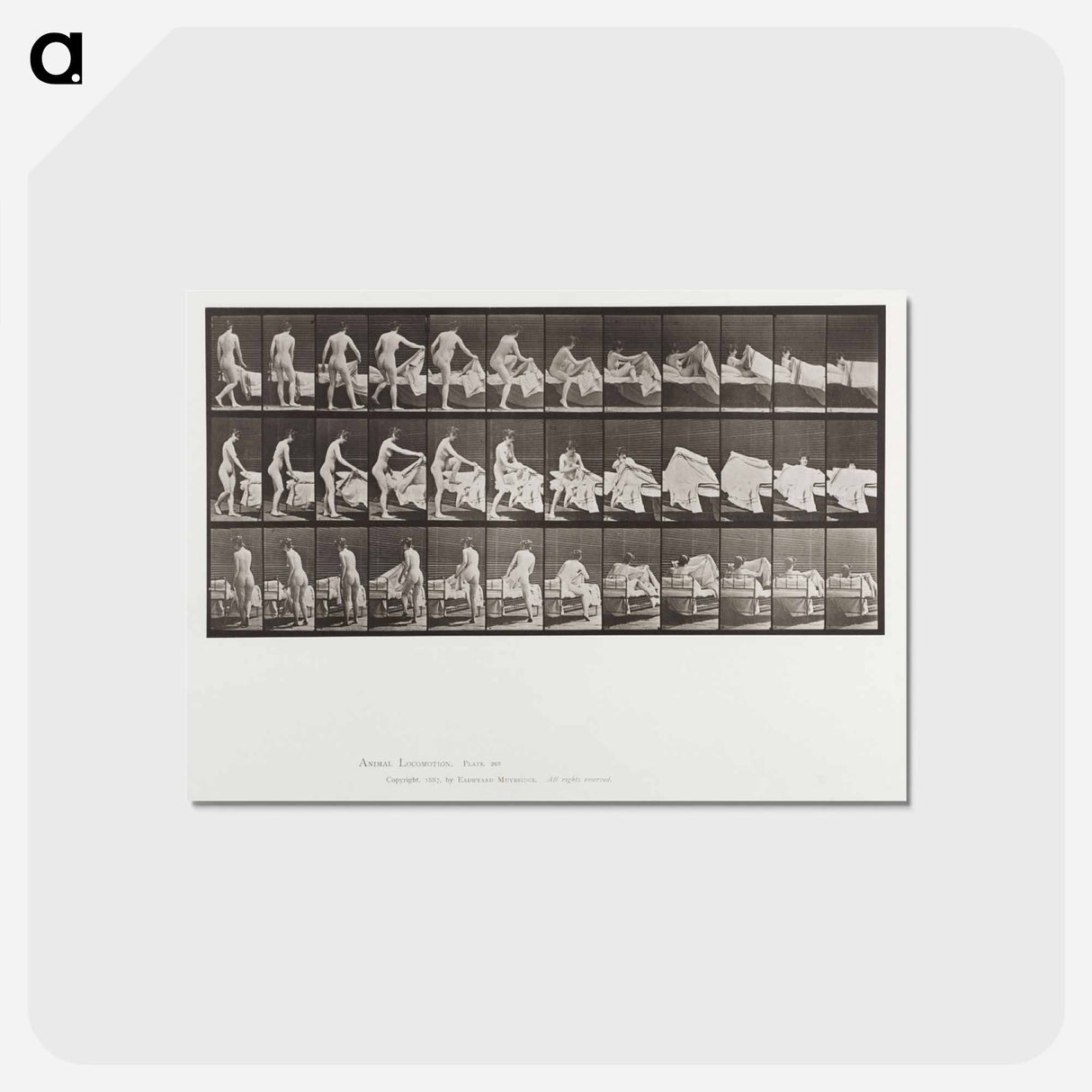 アートポストカード-Getting into Bed
 - エドワード マイブリッジ Postcard.