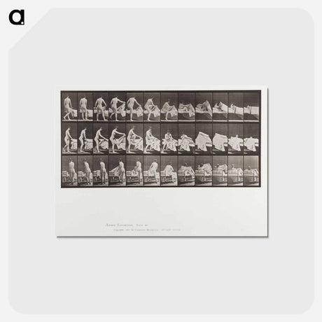 アートポストカード-Getting into Bed
 - エドワード マイブリッジ Postcard.