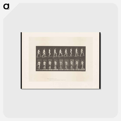 アートポストカード-Man Ascending
 - エドワード マイブリッジ Postcard.