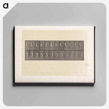 Cricket Swing
 - エドワード マイブリッジ Canvas.