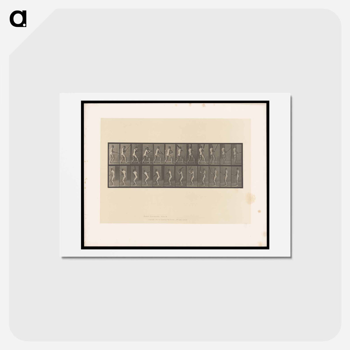 アートポストカード-Cricket Swing
 - エドワード マイブリッジ Postcard.
