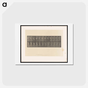 アートポストカード-Cricket Swing
 - エドワード マイブリッジ Postcard.